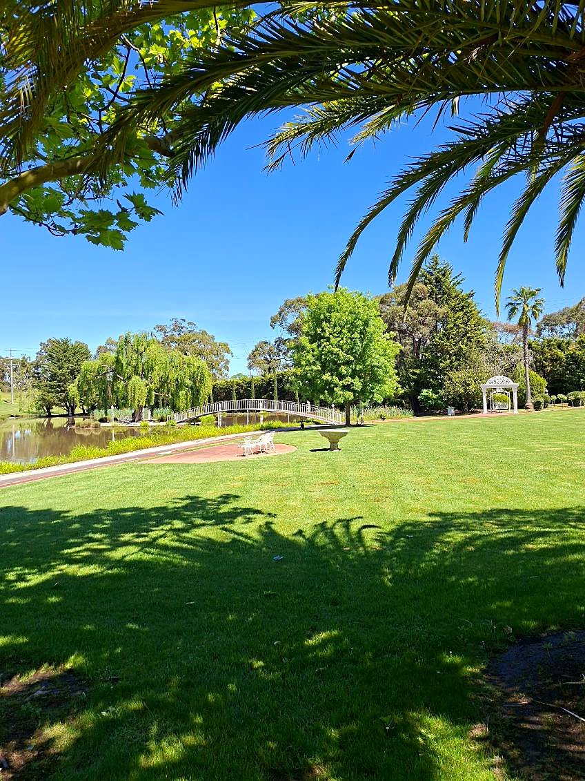 Lawn framed by palm and plane trees